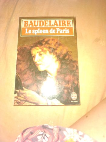 Spleen  Baudelaire