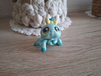Petshop araignée #1760