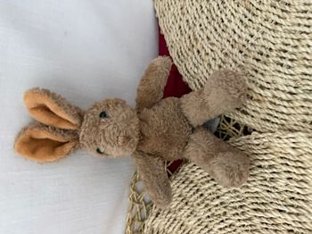 doudou lapin beige marron ANNA CLUB PLUSH