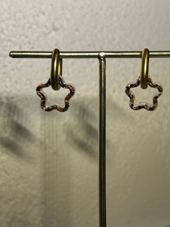 Pampille interchangeable raisinés 
