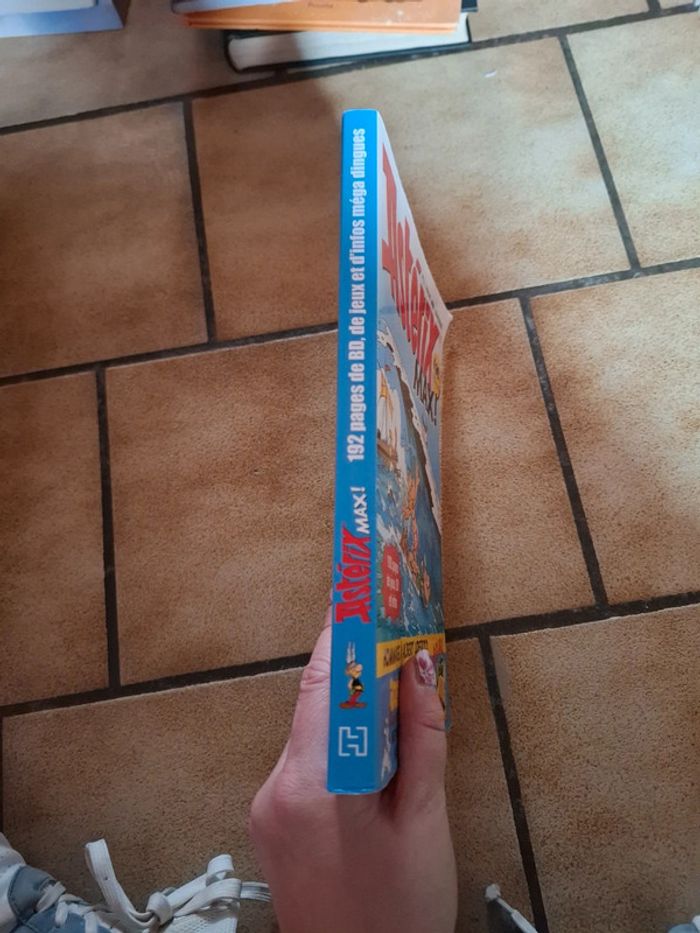 Astérix max - photo numéro 2