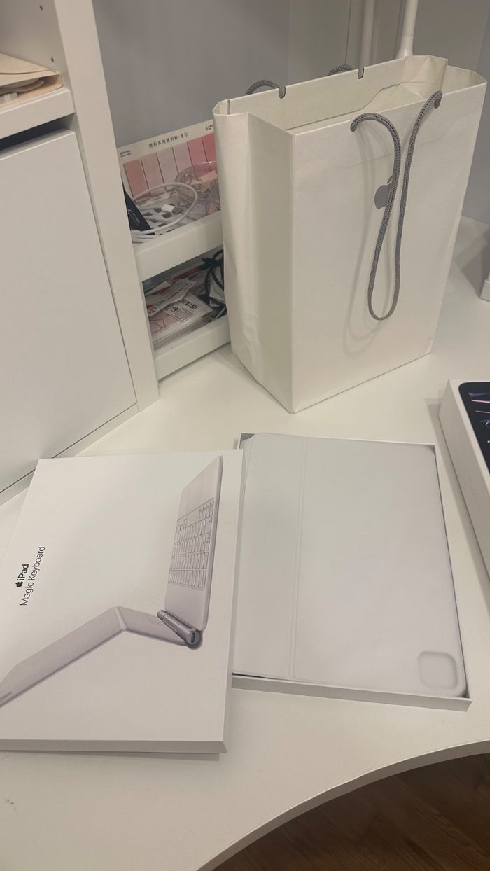 IPad Pro 11 (4e génération) 2024 - 256 Go - photo numéro 8