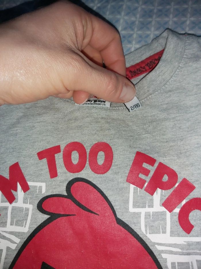 Lot 8 hauts 2 ans garçon - photo numéro 18