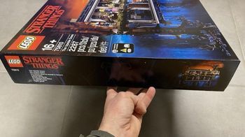 LEGO Stranger Things 75810 Neuf scellé 