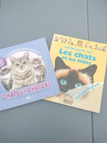 Lot de 2 livres sur les chats