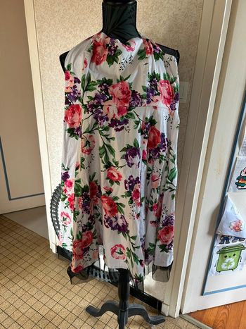 Robe dos nu