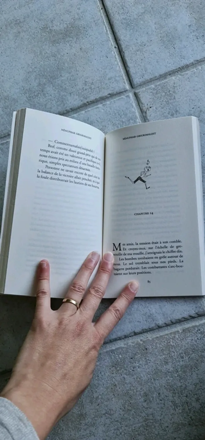 Livre Nénuphar Grigrimaldit - photo numéro 4