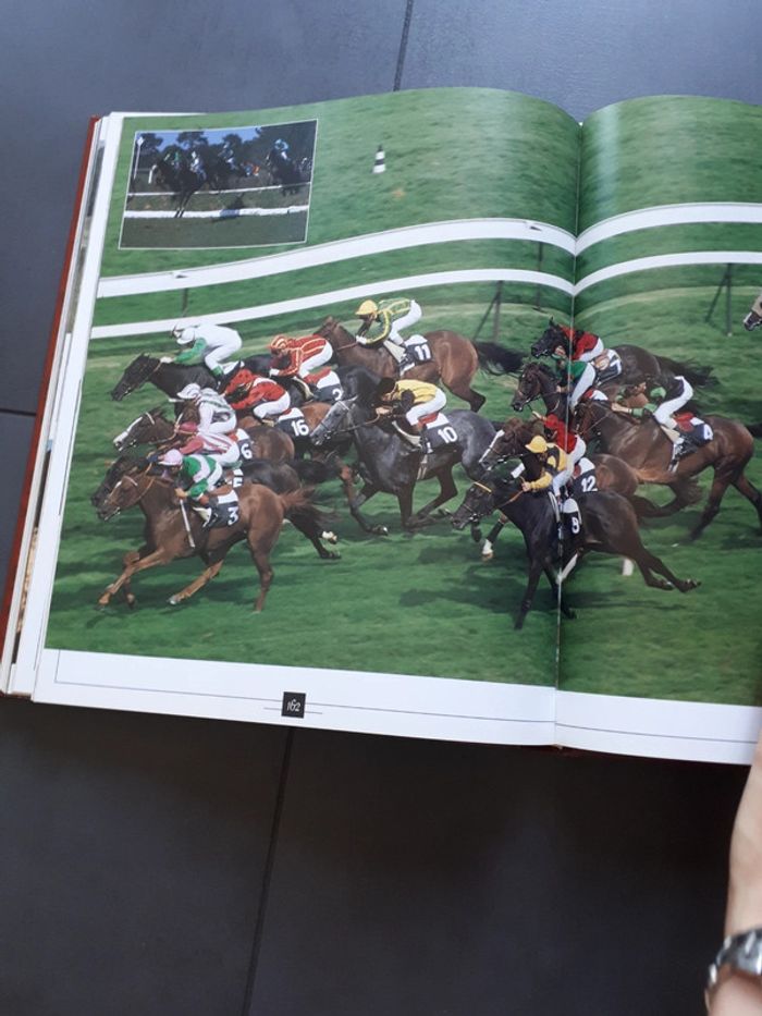 Très beau livre le grand livre des chevaux - photo numéro 16