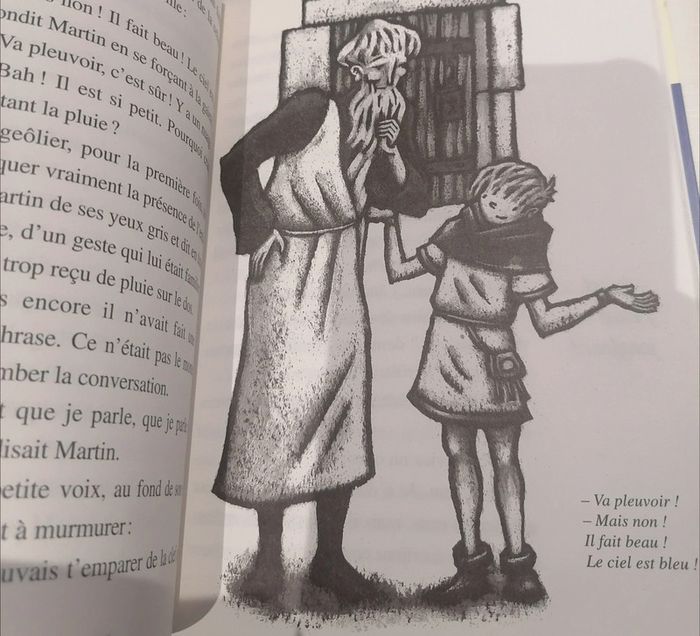 Le Faucon déniché Jean-Côme Noguès Éditions Nathan - photo numéro 5