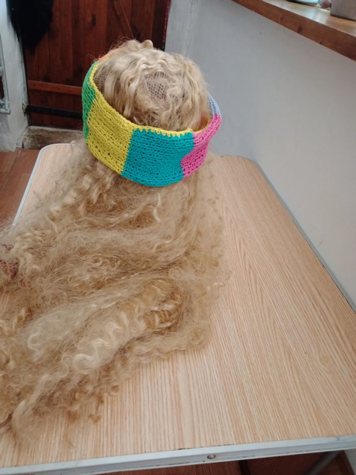 Bandeau multicolore - photo numéro 3