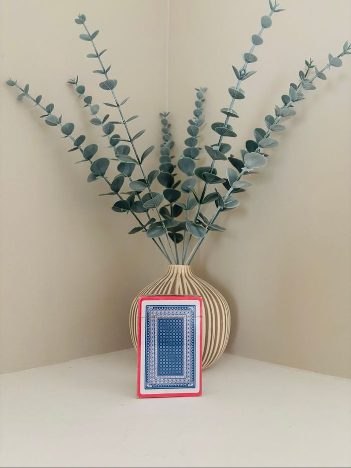 Jeu de cartes neuf sous blister - photo numéro 2