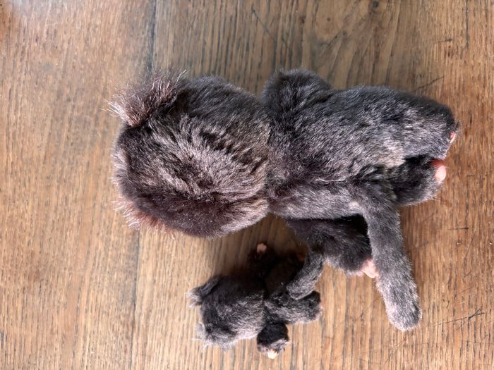 Kiki original et son bébé - photo numéro 2