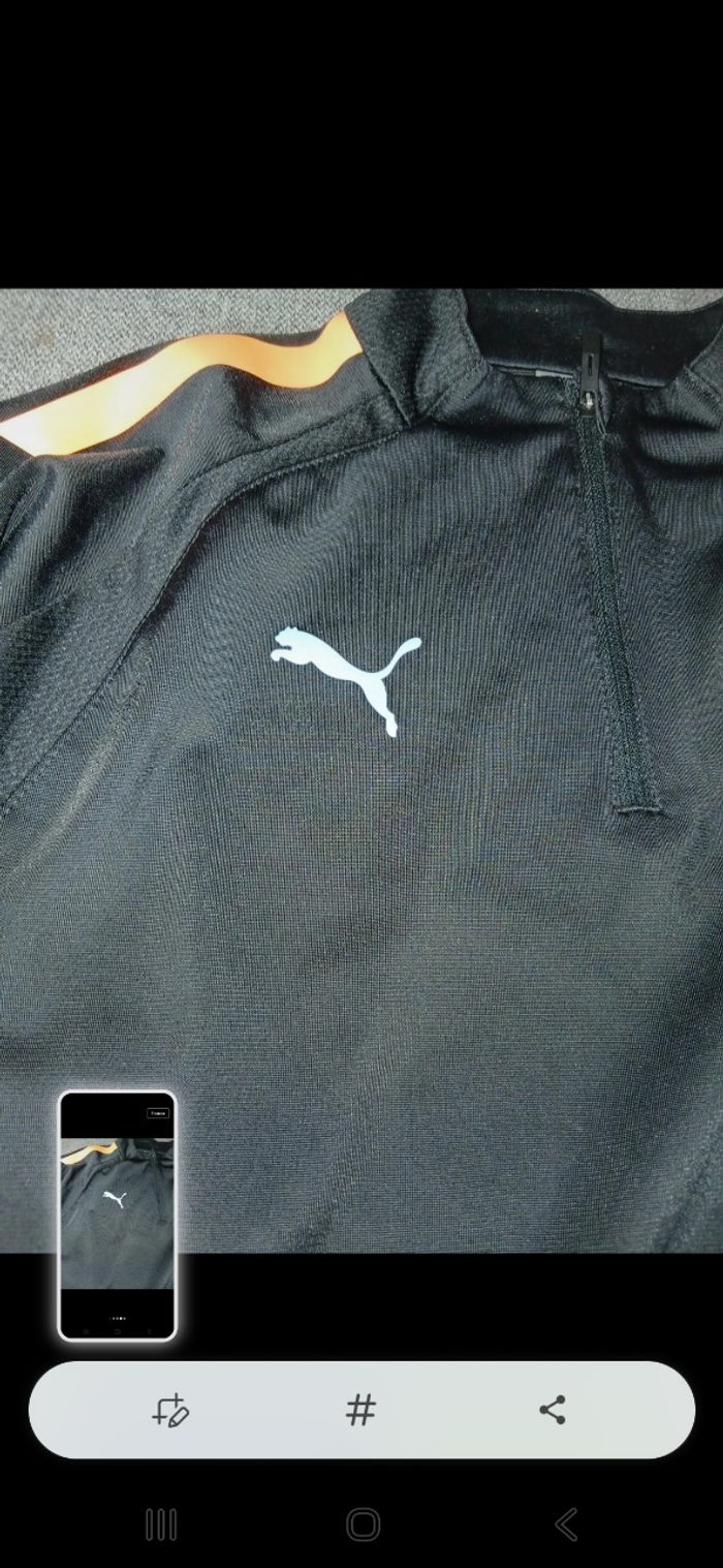 Sweet puma - photo numéro 4