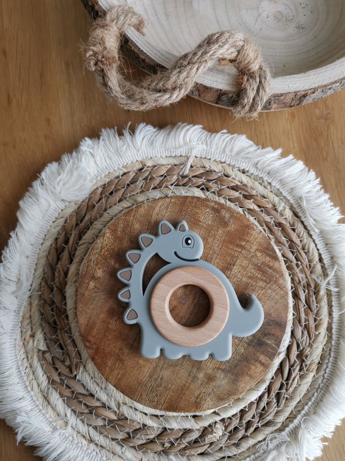 Anneau de dentition dinosaure - photo numéro 2