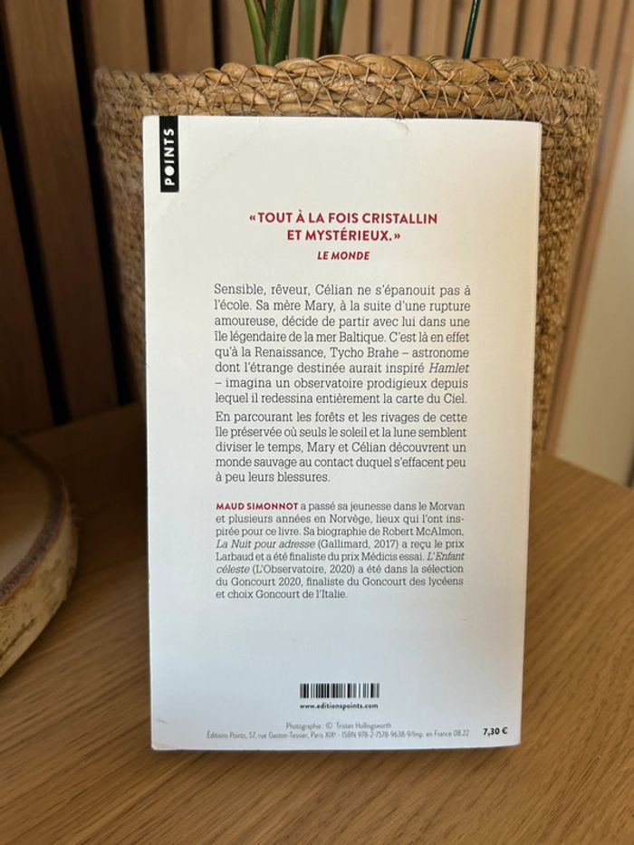 Livre L’enfant Céleste - photo numéro 2