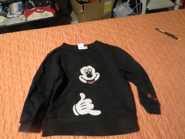 Pull taille 4 ans garçon - photo numéro 2