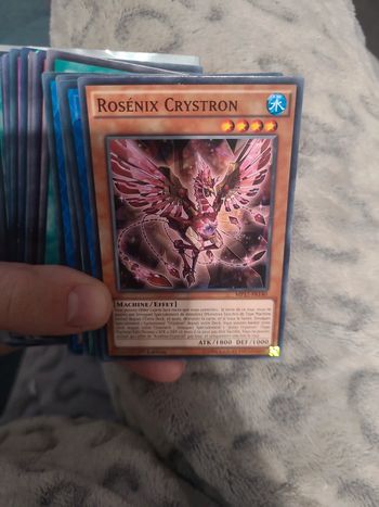 Carte rosénix cryston