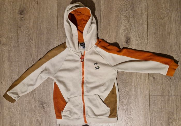 Vestes - photo numéro 4
