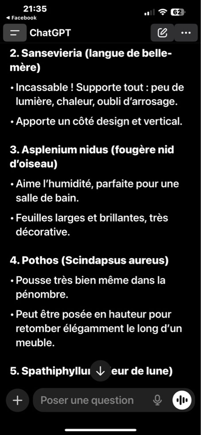 Short manchesters - photo numéro 2