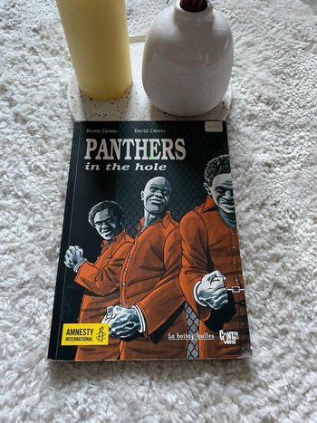 Panthers In The Hole