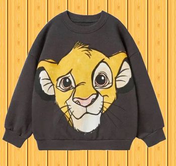 pull garçon 18 mois