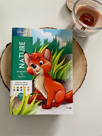 Coloriage mystère Disney - tome Nature