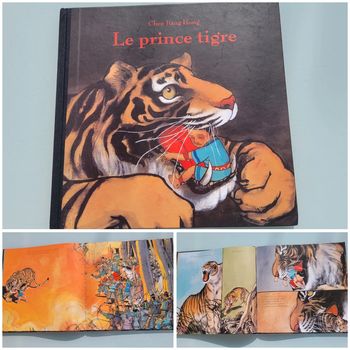 Beau livre grand format dos toilé Le Prince Tigre (41)