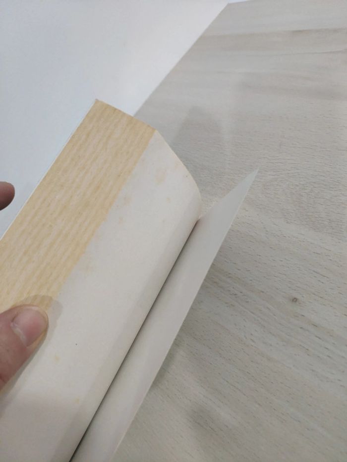 Livre poche Payot Voyageurs Promenons nous dans les bois Bill Bryson - photo numéro 6