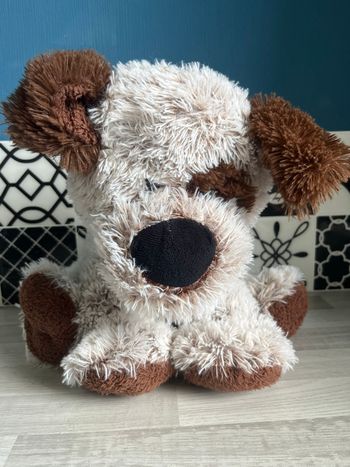 Peluche chien 🐶 