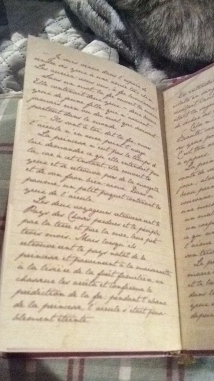 # le jardin des secrets par Kate Morton - photo numéro 8