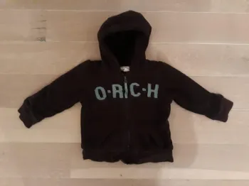 Pull Veste Polaire à Capuche avec Doublure Garçon 3 Ans Orchestra