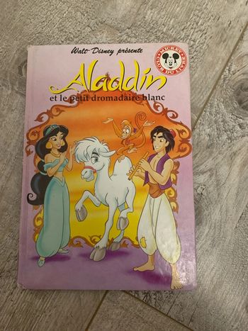 Livre Disney Aladin
