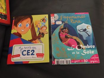 Lot deux livres lecteurs débutants
