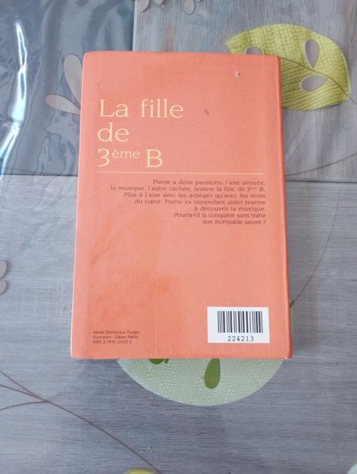 La fille de 3eme B - photo numéro 2