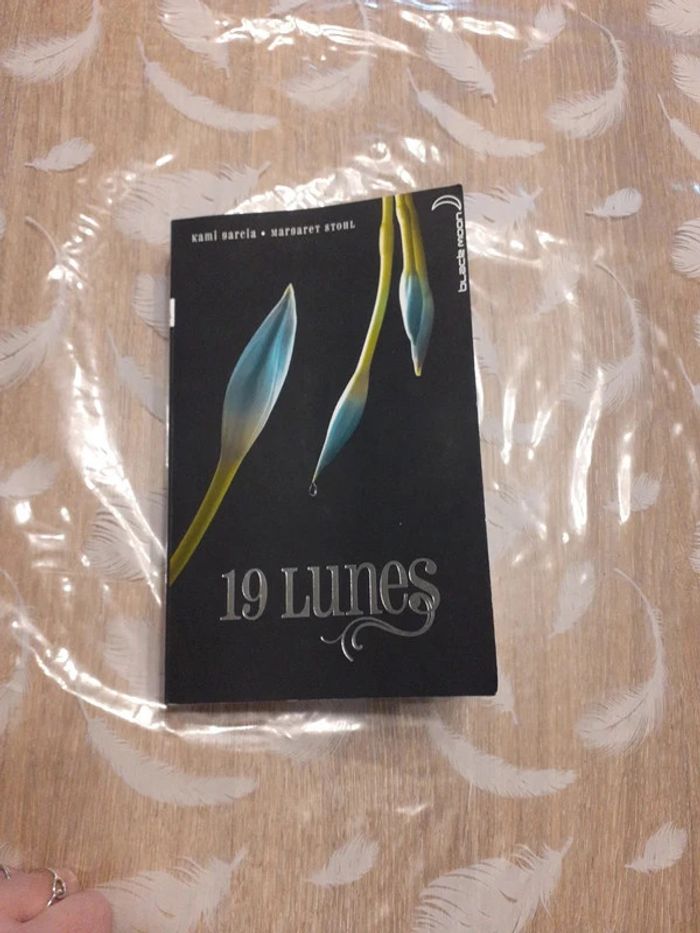 16/17/18 et 19 lunes - photo numéro 9