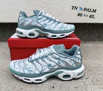 Tn palm
