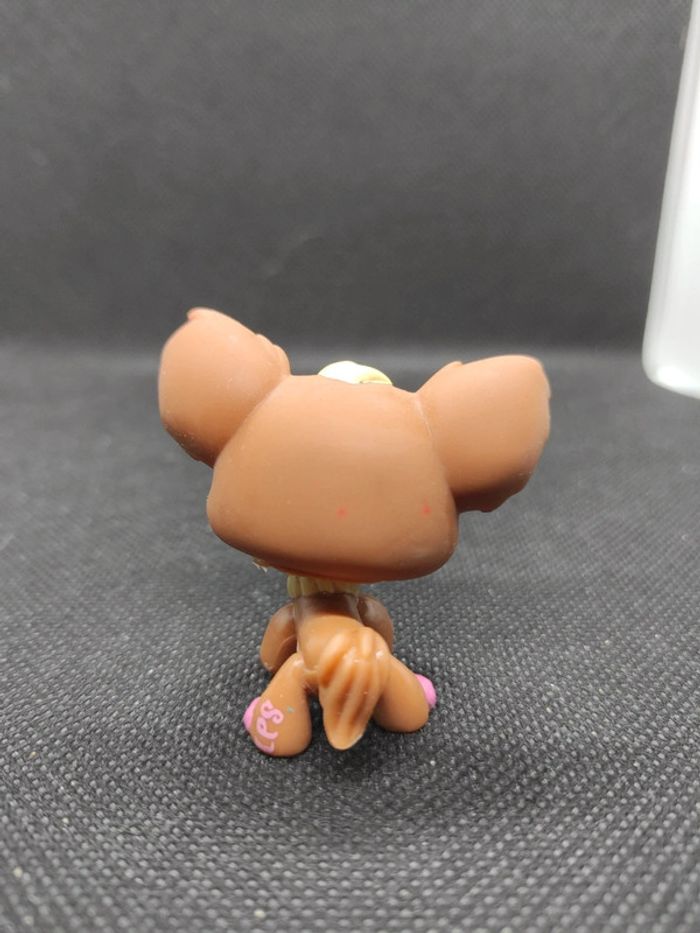 Littlest Petshop LPS dog chien papillon 1623 chihuahua hasbro #geektradelpschien - photo numéro 4