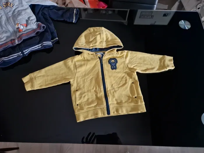 Lot 4 Gillets avec zip 18 mois - photo numéro 3