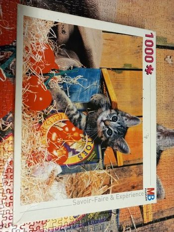 Puzzle 1000 pièces