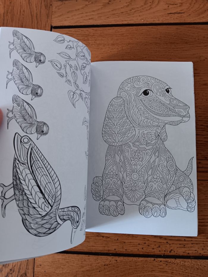 Livre de coloriage - photo numéro 2