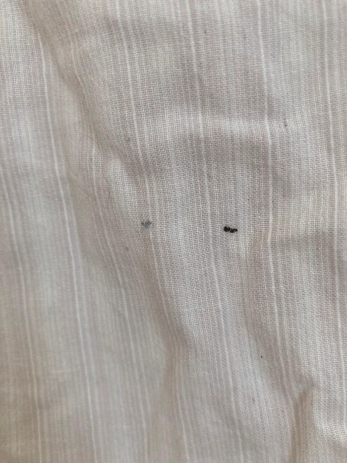 Chemise bébé Prémaman 3 mois - photo numéro 5