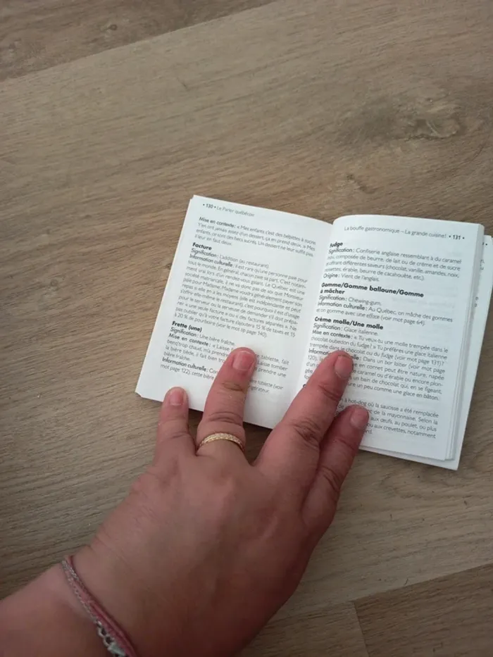 Le parler quebecois - photo numéro 3