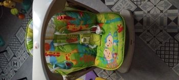 Transat balancelle jungle fisher price