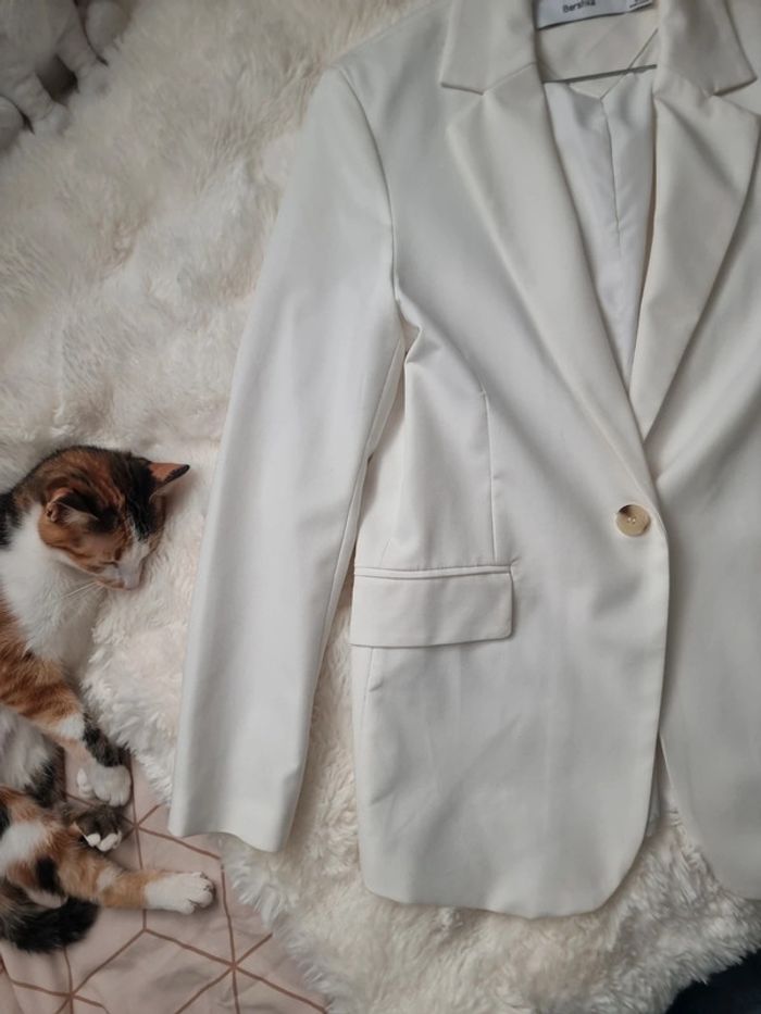 Blazer - photo numéro 2