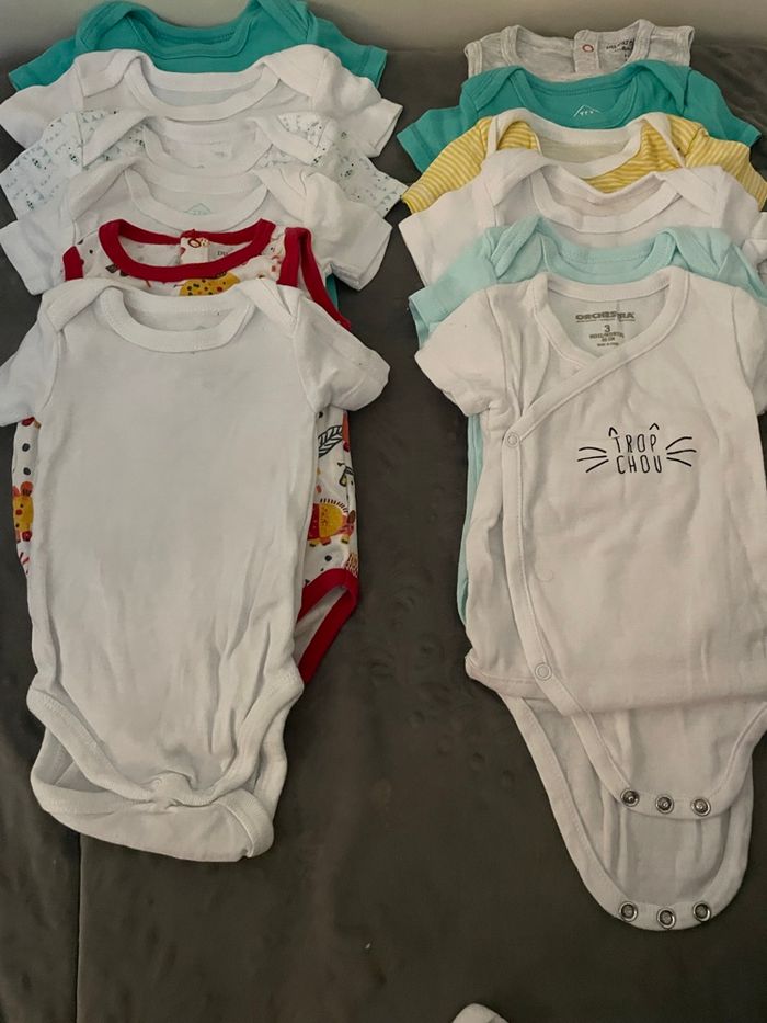 Lot bodies - photo numéro 2