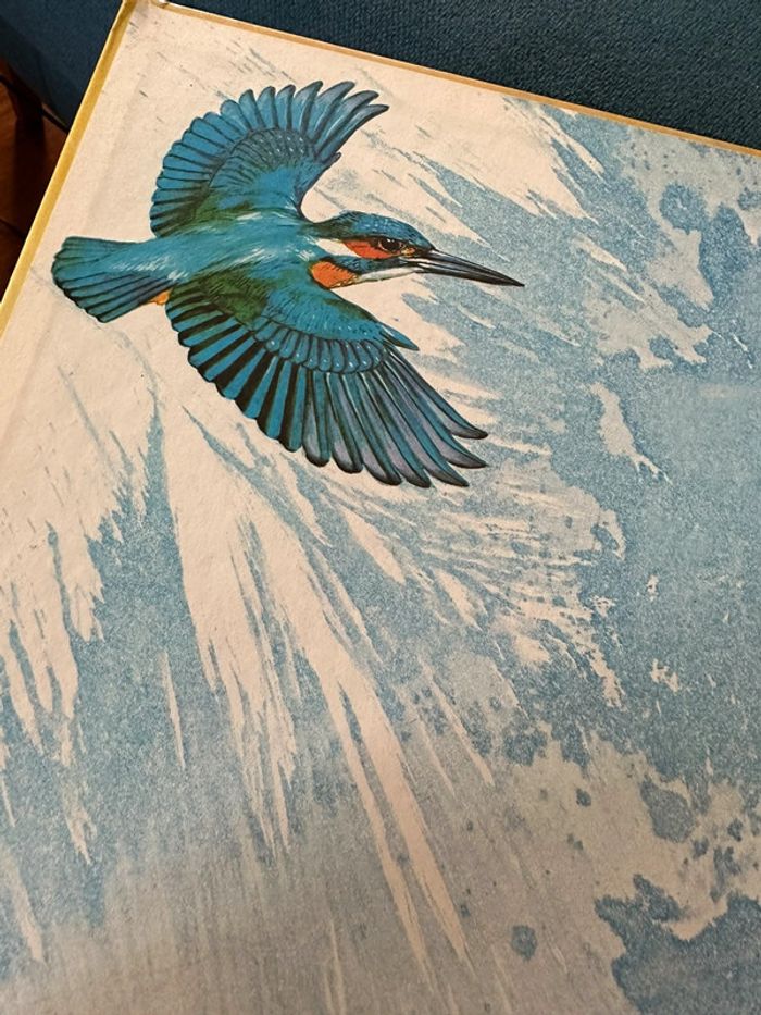 1981 Livre ancien rare Les Animaux Prédateurs Robert Dallet Lito Paris illustrateur Hermès - photo numéro 3