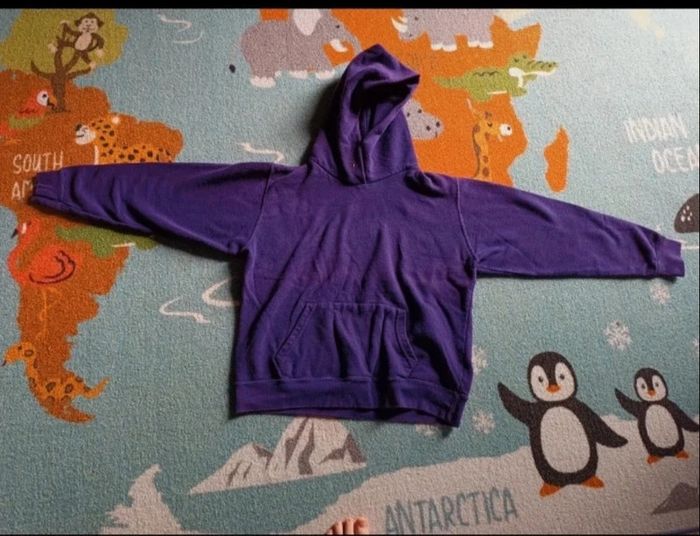 Pull à capuche xl - photo numéro 2