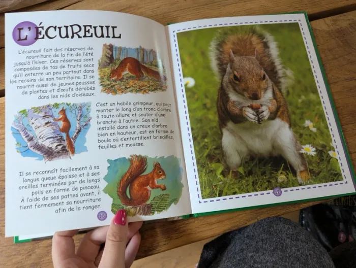 Les animaux de la forêt ! - photo numéro 3