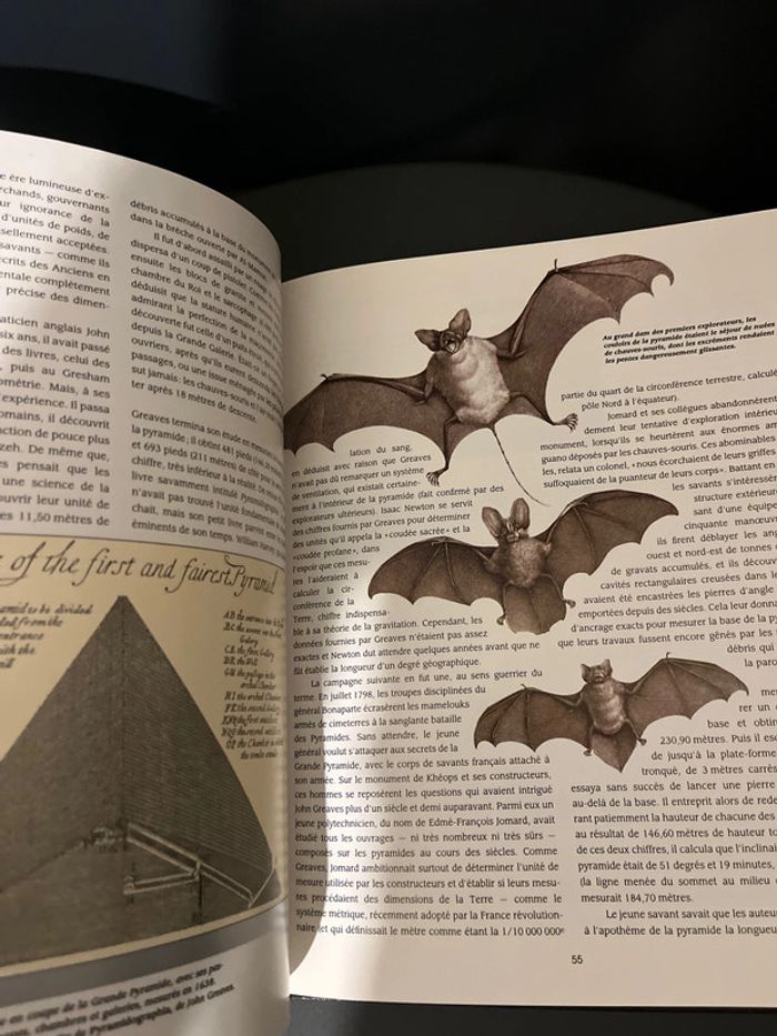 Attention à ne pas mettre entre toutes les mains ! 3 livres ésotériques - photo numéro 19