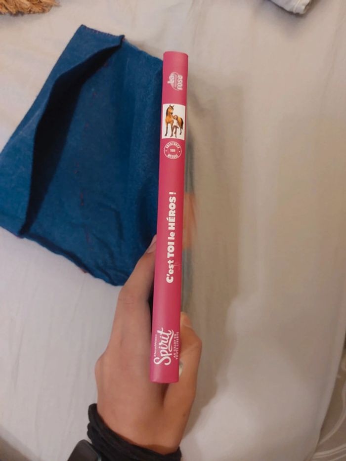 Roman Spirit C'est toi le héros - photo numéro 2